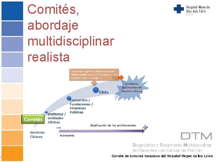 Comités, abordaje multidisciplinar realista Comités Alcoi 