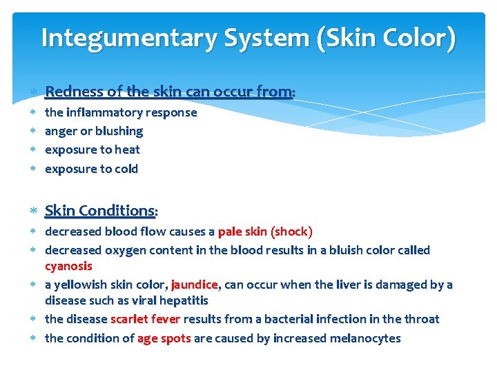 Integumentary System (Skin Color) Redness of the skin can occur from: the inflammatory response