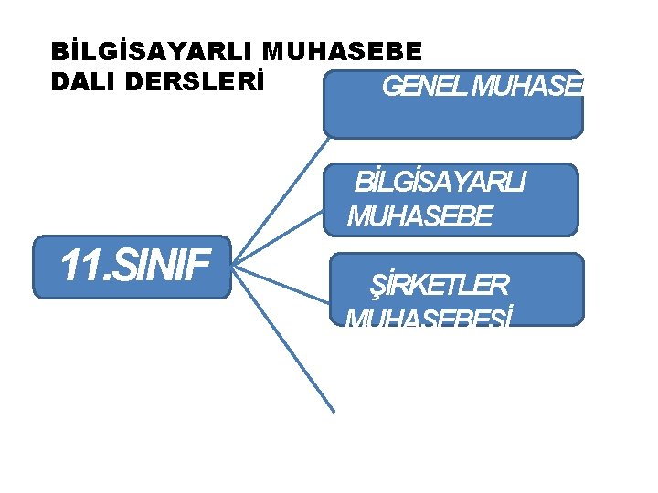 BİLGİSAYARLI MUHASEBE DALI DERSLERİ GENEL MUHASEBE BİLGİSAYARLI MUHASEBE 11. SINIF ŞİRKETLER MUHASEBESİ DŞ TİCARET