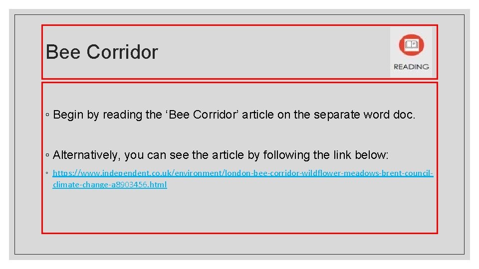 Bee Corridor ◦ Begin by reading the ‘Bee Corridor’ article on the separate word