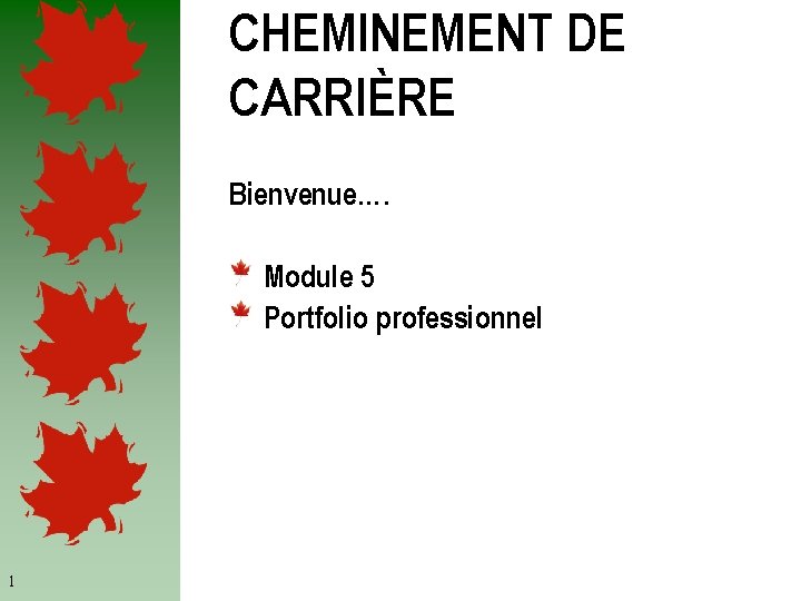CHEMINEMENT DE CARRIÈRE Bienvenue…. Module 5 Portfolio professionnel 1 
