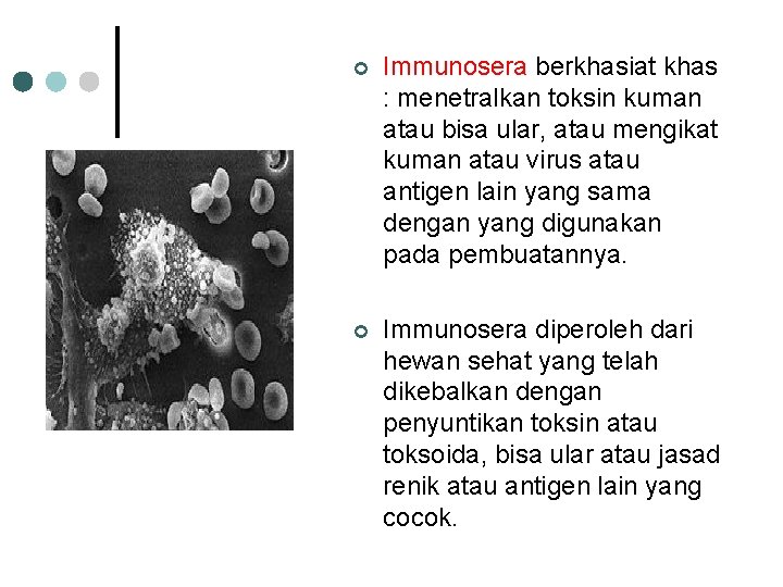 ¢ Immunosera berkhasiat khas : menetralkan toksin kuman atau bisa ular, atau mengikat kuman