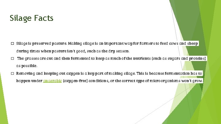 Silage Facts � Silage is preserved pasture. Making silage is an important way for