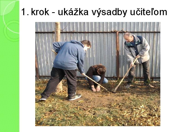 1. krok - ukážka výsadby učiteľom 