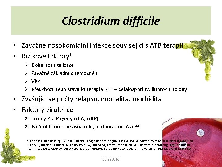 Clostridium difficile • Závažné nosokomiální infekce související s ATB terapií • Rizikové faktory 1