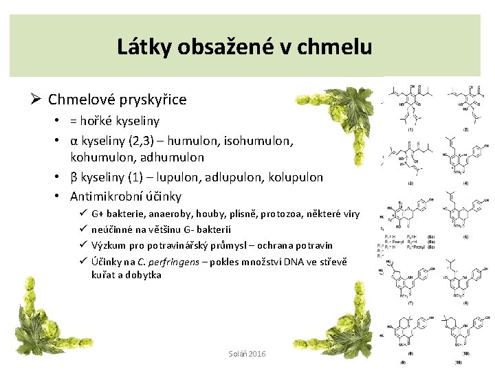 Látky obsažené v chmelu Ø Chmelové pryskyřice • = hořké kyseliny • α kyseliny