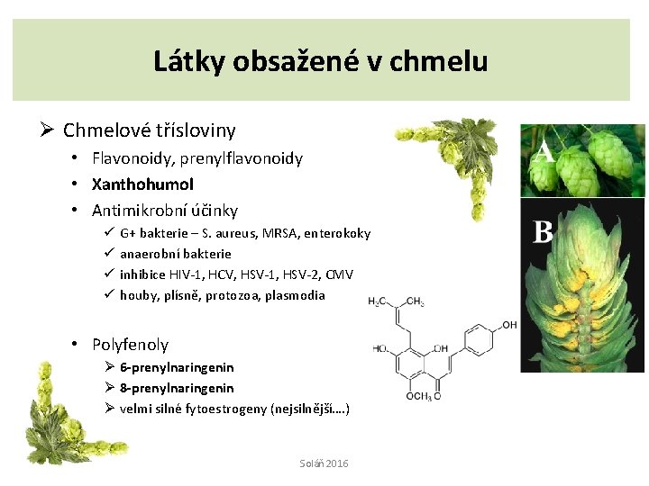 Látky obsažené v chmelu Ø Chmelové třísloviny • Flavonoidy, prenylflavonoidy • Xanthohumol • Antimikrobní