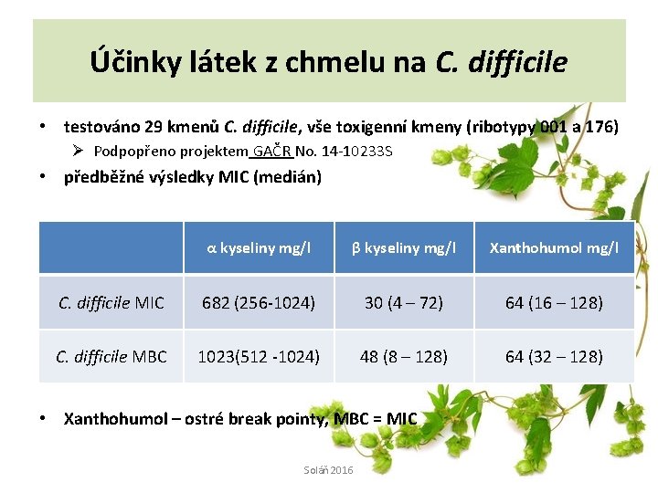 Účinky látek z chmelu na C. difficile • testováno 29 kmenů C. difficile, vše