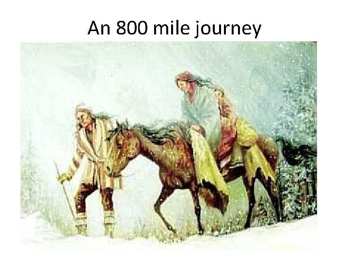 An 800 mile journey 