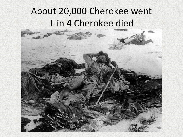 About 20, 000 Cherokee went 1 in 4 Cherokee died 