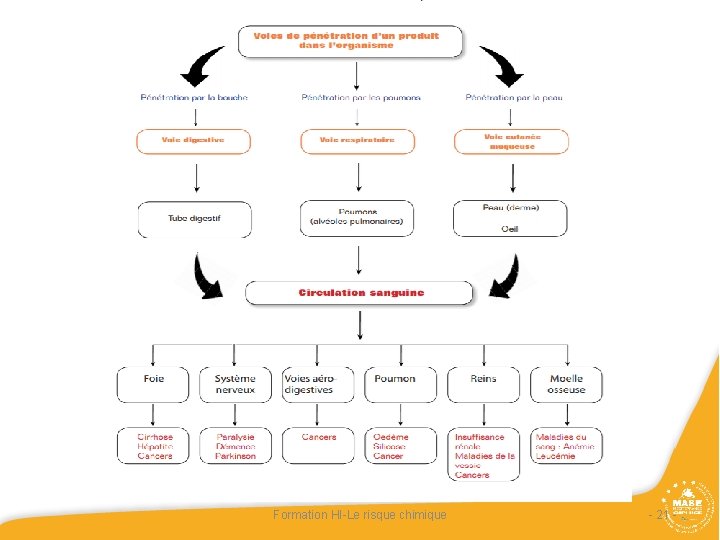 Formation HI-Le risque chimique - 21 - Formation HI-Le risque chimique - 21 -