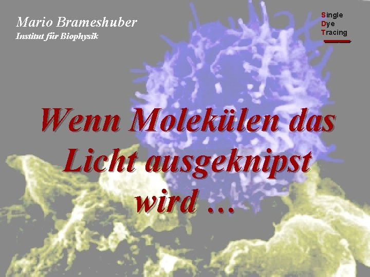 Mario Brameshuber Institut für Biophysik Single Dye Tracing Wenn Molekülen das Licht ausgeknipst wird