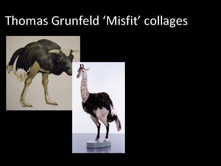 Thomas Grunfeld ‘Misfit’ collages 