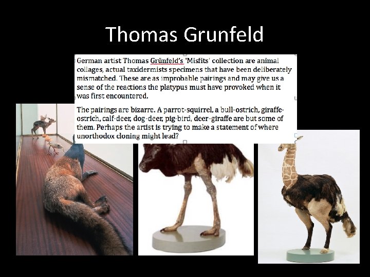 Thomas Grunfeld 