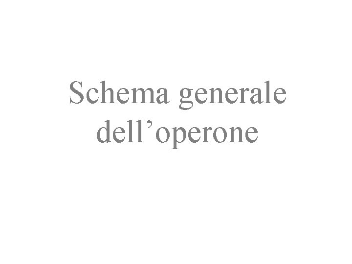 Dott Fabio Picciolo VIII ciclo silsis A 060
