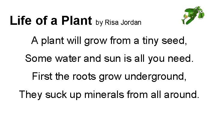 Life of a Plant by Risa Jordan A plant will grow from a tiny