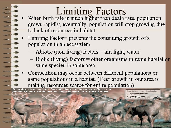 Limiting Factors • When birth rate is much higher than death rate, population grows