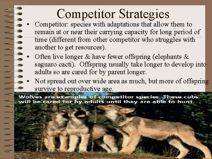 Competitor Strategies • Competitor: species with adaptations that allow them to remain at or