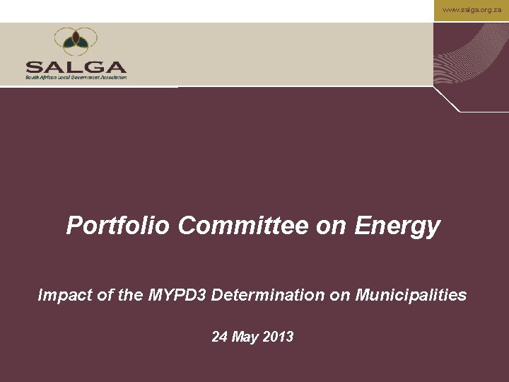 www. salga. org. za Portfolio Committee on Energy Impact of the MYPD 3 Determination