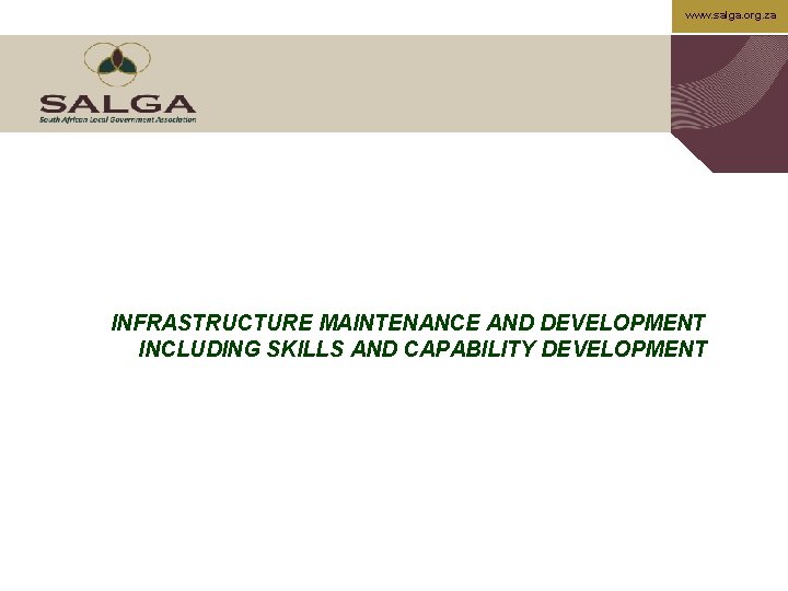 www. salga. org. za INFRASTRUCTURE MAINTENANCE AND DEVELOPMENT INCLUDING SKILLS AND CAPABILITY DEVELOPMENT 