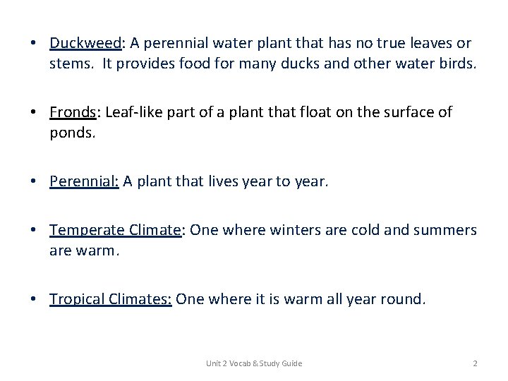  • Duckweed: A perennial water plant that has no true leaves or stems.