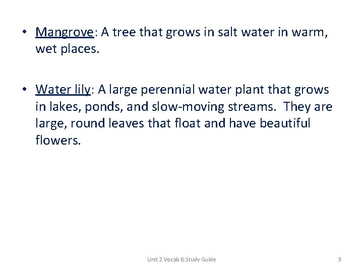  • Mangrove: A tree that grows in salt water in warm, wet places.