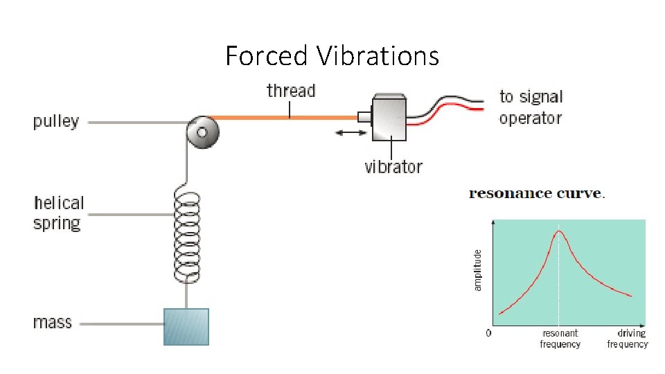 Forced Vibrations 