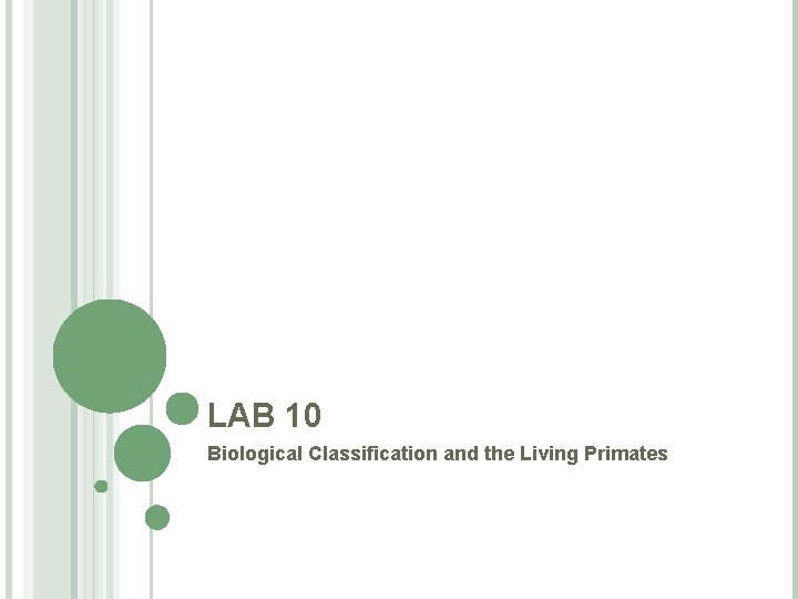 LAB 10 Biological Classification and the Living Primates 