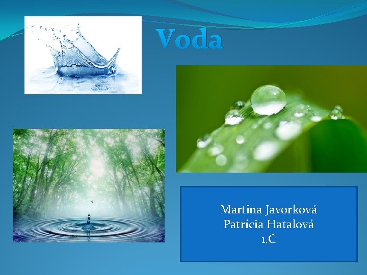 Voda Martina Javorková Patrícia Hatalová 1. C 