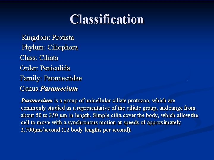 Classification Kingdom: Protista Phylum: Ciliophora Class: Ciliata Order: Peniculida Family: Parameciidae Genus: Paramecium is