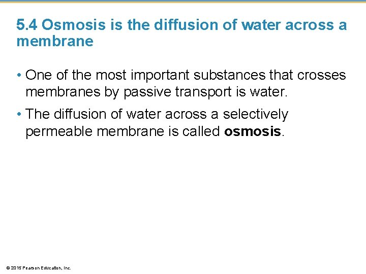 5. 4 Osmosis is the diffusion of water across a membrane • One of