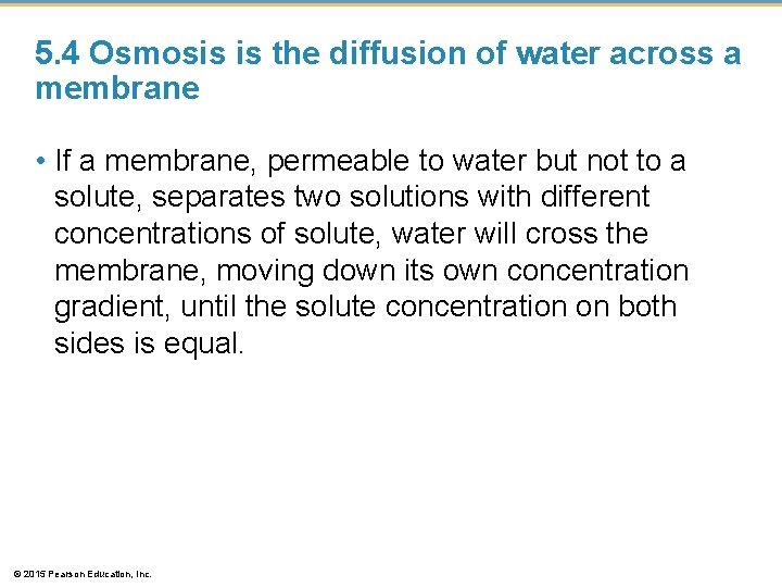 5. 4 Osmosis is the diffusion of water across a membrane • If a