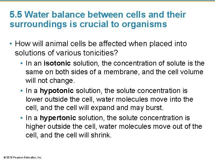 5. 5 Water balance between cells and their surroundings is crucial to organisms •