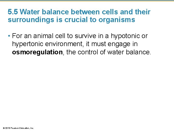 5. 5 Water balance between cells and their surroundings is crucial to organisms •