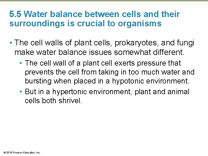 5. 5 Water balance between cells and their surroundings is crucial to organisms •