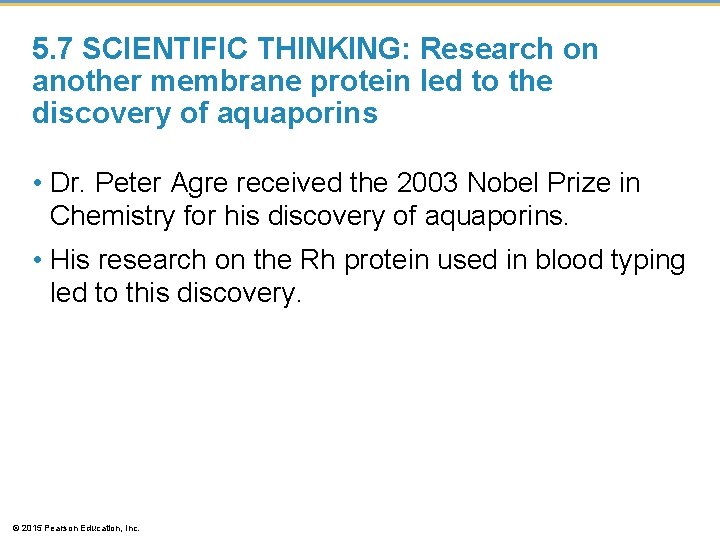 5. 7 SCIENTIFIC THINKING: Research on another membrane protein led to the discovery of