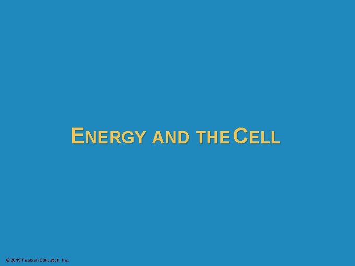 ENERGY AND THE CELL © 2015 Pearson Education, Inc. 