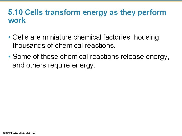 5. 10 Cells transform energy as they perform work • Cells are miniature chemical