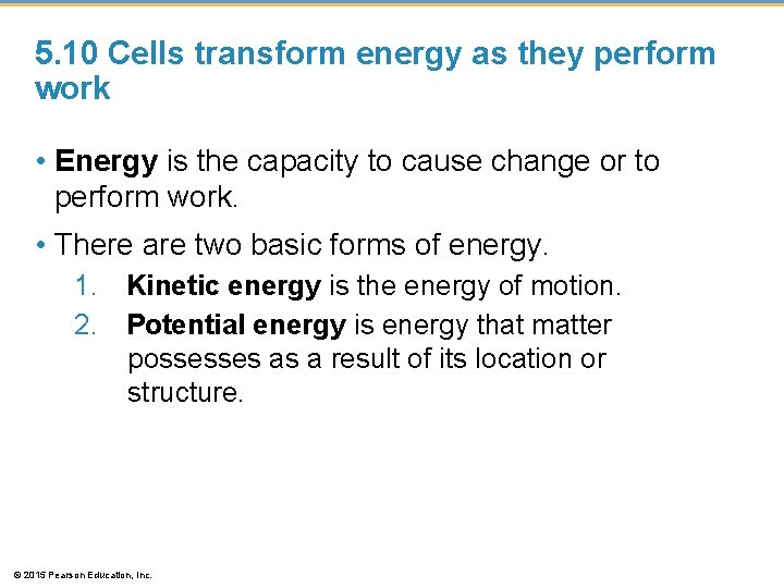 5. 10 Cells transform energy as they perform work • Energy is the capacity