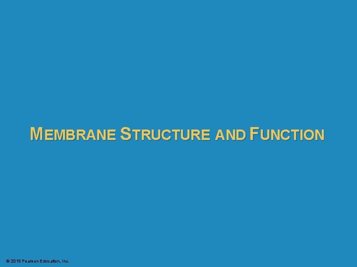 MEMBRANE STRUCTURE AND FUNCTION © 2015 Pearson Education, Inc. 