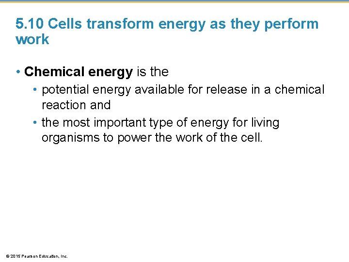 5. 10 Cells transform energy as they perform work • Chemical energy is the