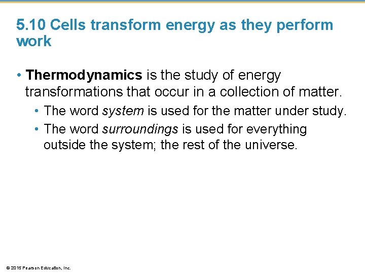 5. 10 Cells transform energy as they perform work • Thermodynamics is the study