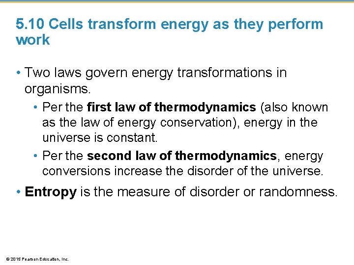 5. 10 Cells transform energy as they perform work • Two laws govern energy