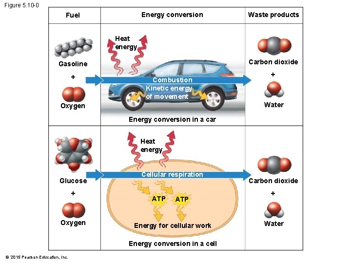 Figure 5. 10 -0 Energy conversion Fuel Waste products Heat energy Carbon dioxide Gasoline