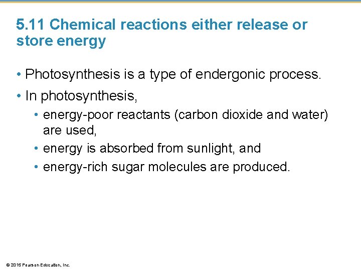 5. 11 Chemical reactions either release or store energy • Photosynthesis is a type