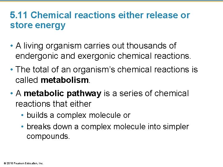 5. 11 Chemical reactions either release or store energy • A living organism carries