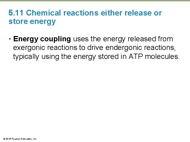 5. 11 Chemical reactions either release or store energy • Energy coupling uses the