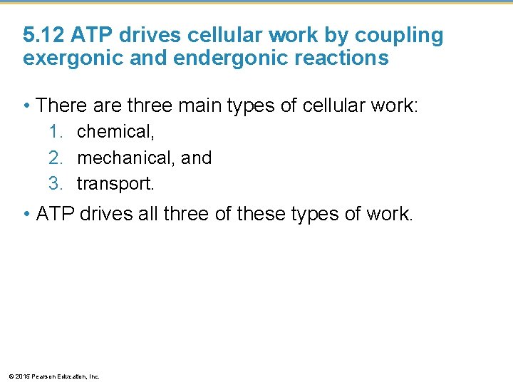 5. 12 ATP drives cellular work by coupling exergonic and endergonic reactions • There