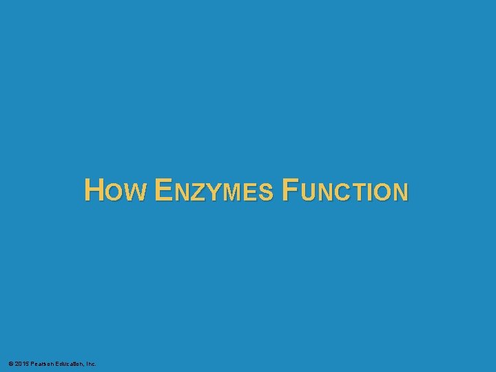 HOW ENZYMES FUNCTION © 2015 Pearson Education, Inc. 