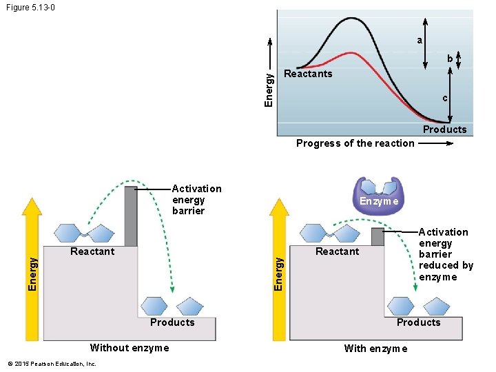 Figure 5. 13 -0 a Energy b Reactants c Products Progress of the reaction